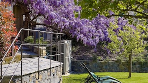 Un mur de pierre surmonté d’une rambarde métallique, une zone herbeuse et des arbres à fleurs violettes.