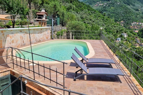 Autumn, Pool, Spring, Summer