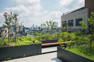 Terraza en la azotea