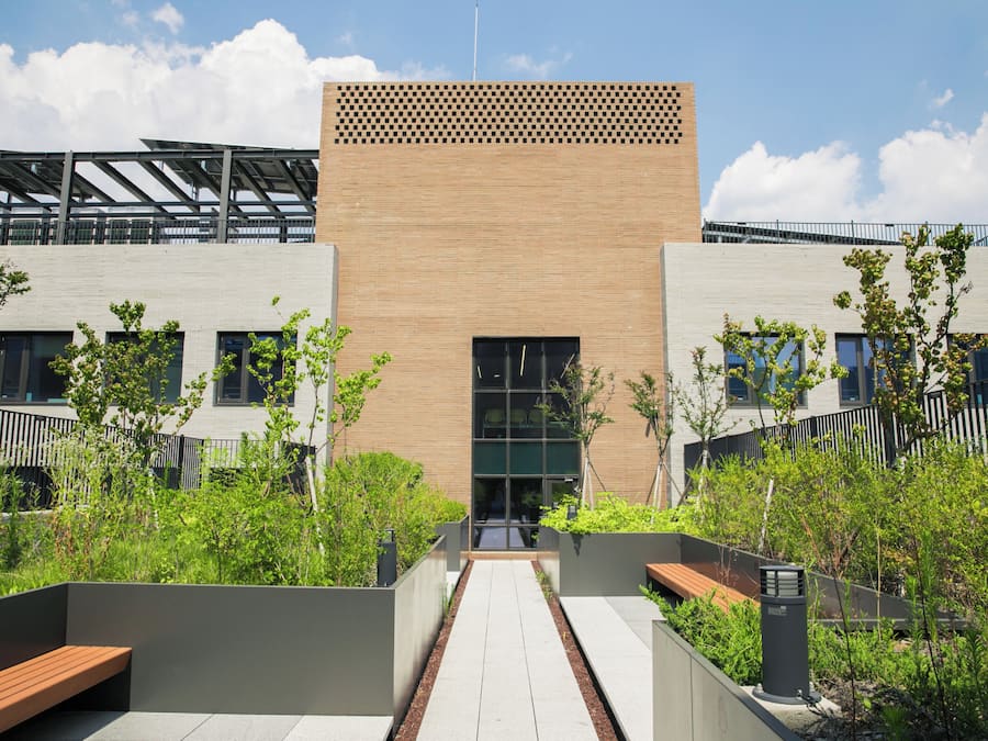 Terraza en la azotea