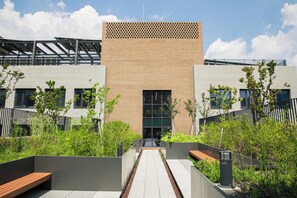 Rooftop terrace
