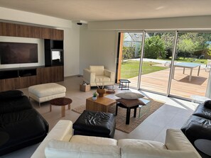 Smart TV, fireplace, books
