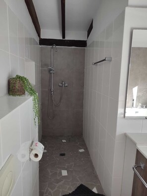 Dusche, Whirlpool, Handtücher
