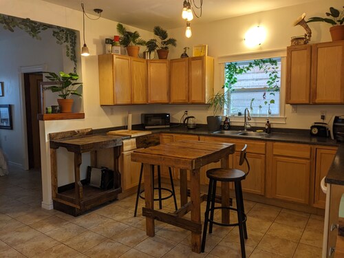 Alligator Suite - downtown Wolfville