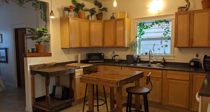 Alligator Suite - downtown Wolfville