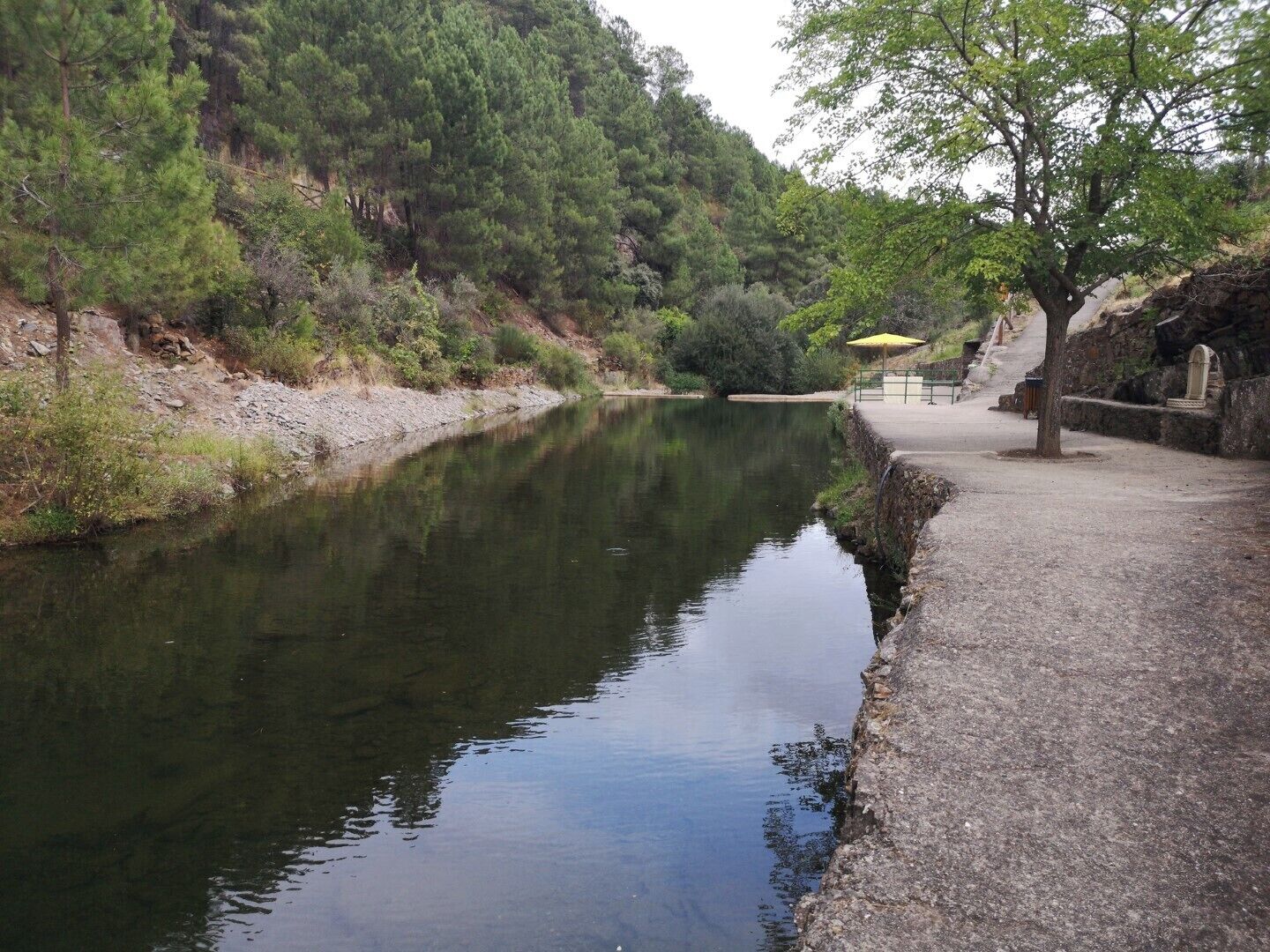 A calm river with a concrete walkway on the right, surrounded by greenery and trees.