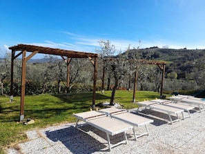 Hồ bơi ngoài trời phục vụ theo mùa, dù/ô trên bãi biển/hồ bơi