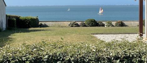 A coastal view with a grassy area, a hedge, and a building with a sloped roof.