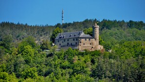 Un castillo en una colina rodeado de un bosque frondoso.