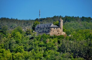 Um castelo no topo de uma colina, rodeado por uma floresta densa.