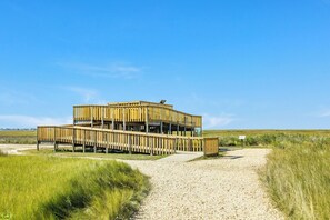 A wooden structure with a deck, situated on a gravel path surrounded by grass. - 2nd Row Beachside w/ Gulf Views, Updated Interior, 2 Decks & Easy Beach Access (Galveston)