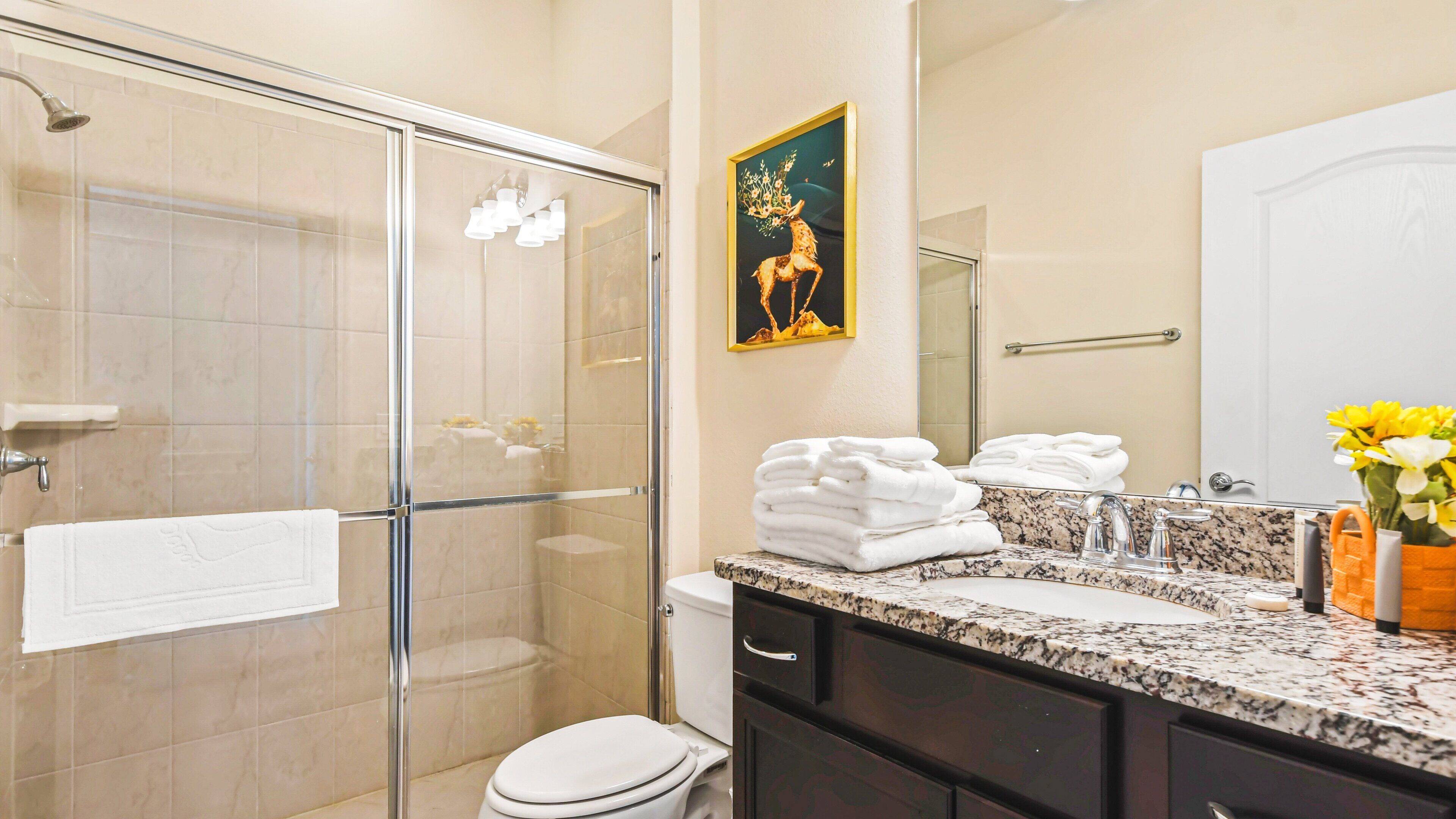 Une salle de bain avec une douche à parois de verre, des toilettes, un lavabo doté d’un plan de travail en marbre et un miroir.
