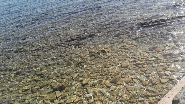 Una vista despejada de una costa rocosa con agua tranquila.