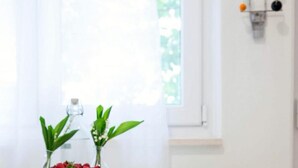 Una mesa blanca con un tazón de fresas y dos plantas en macetas.