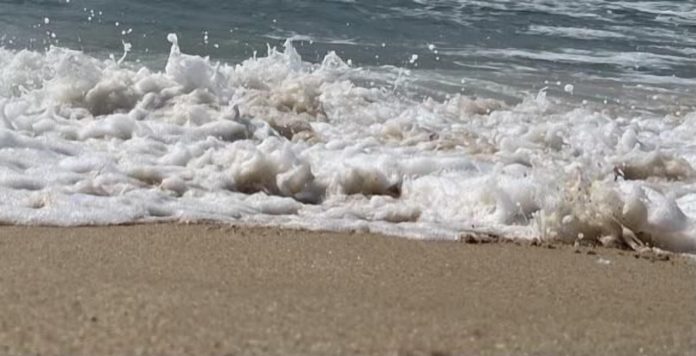 Casa, 1 cama Queen | Praia