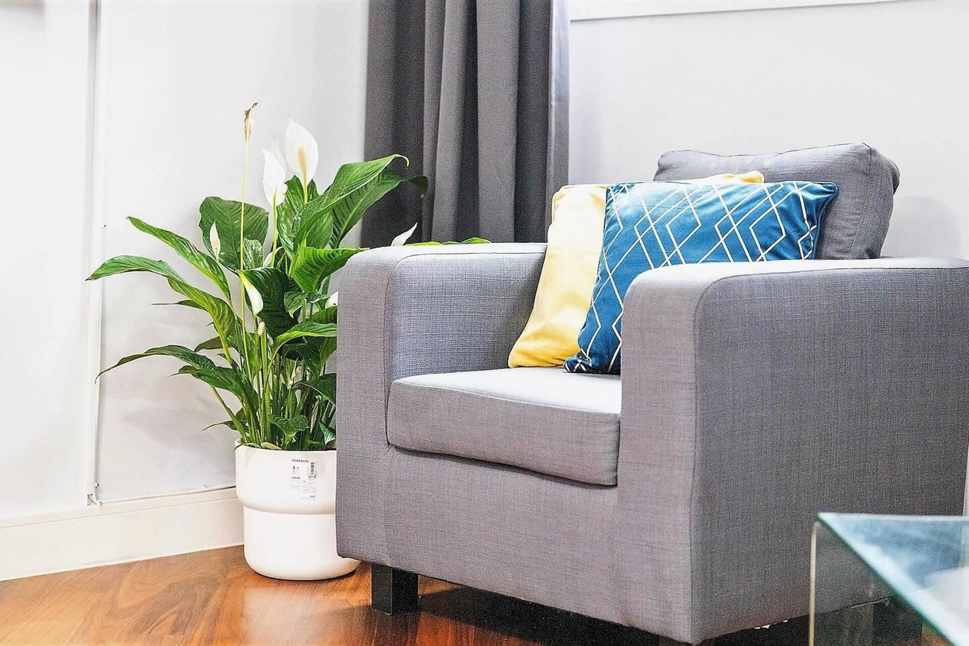 A grey sofa with two pillows, one blue and one yellow, and a white potted plant with green leaves.