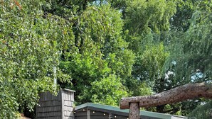 Una baita rustica con una porta in legno, circondata dal verde e da un vialetto sterrato.