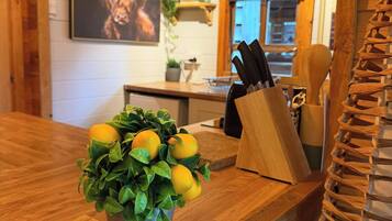 A kitchen counter with a potted plant and a knife block.
