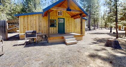 Quiet, secluded cabin among the pines with firepit, great for outdoor adventures
