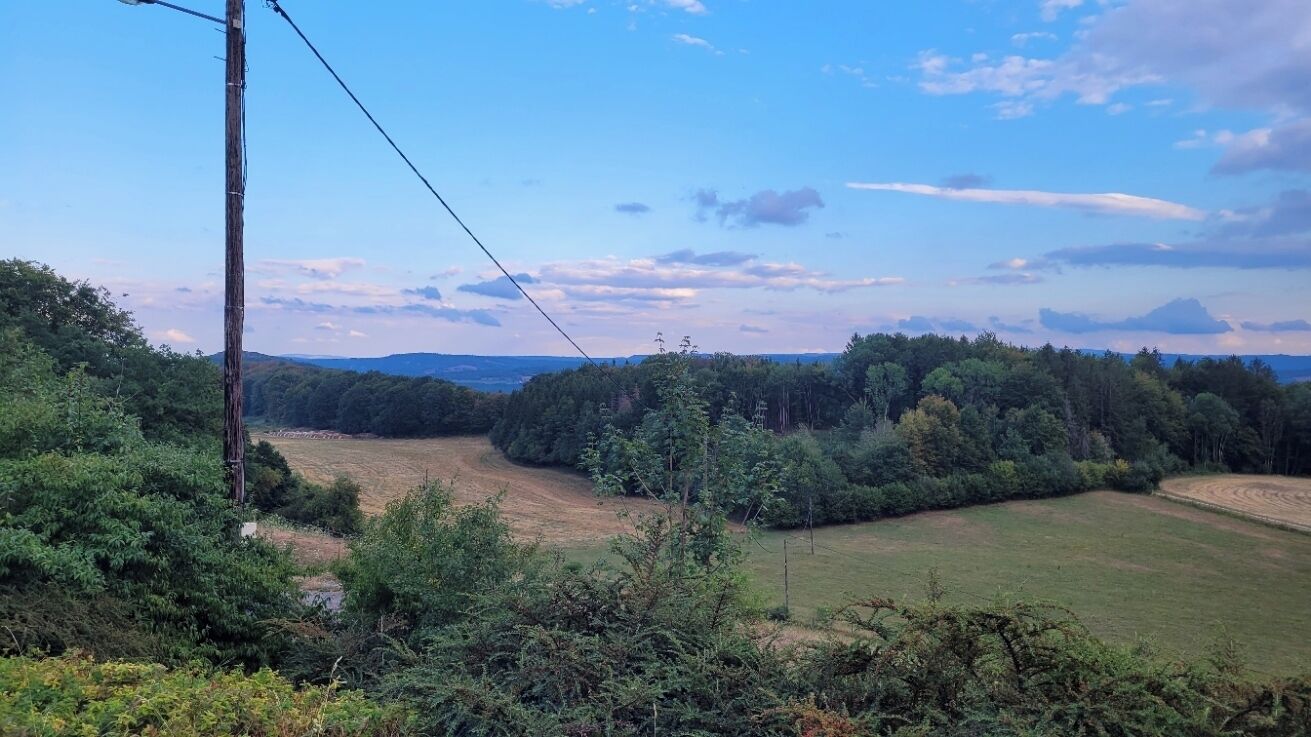 A rural landscape with a power line, dense forest, and open fields.