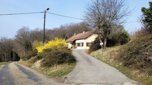 A rural road leading to a house with a red roof, surrounded by trees and bushes.