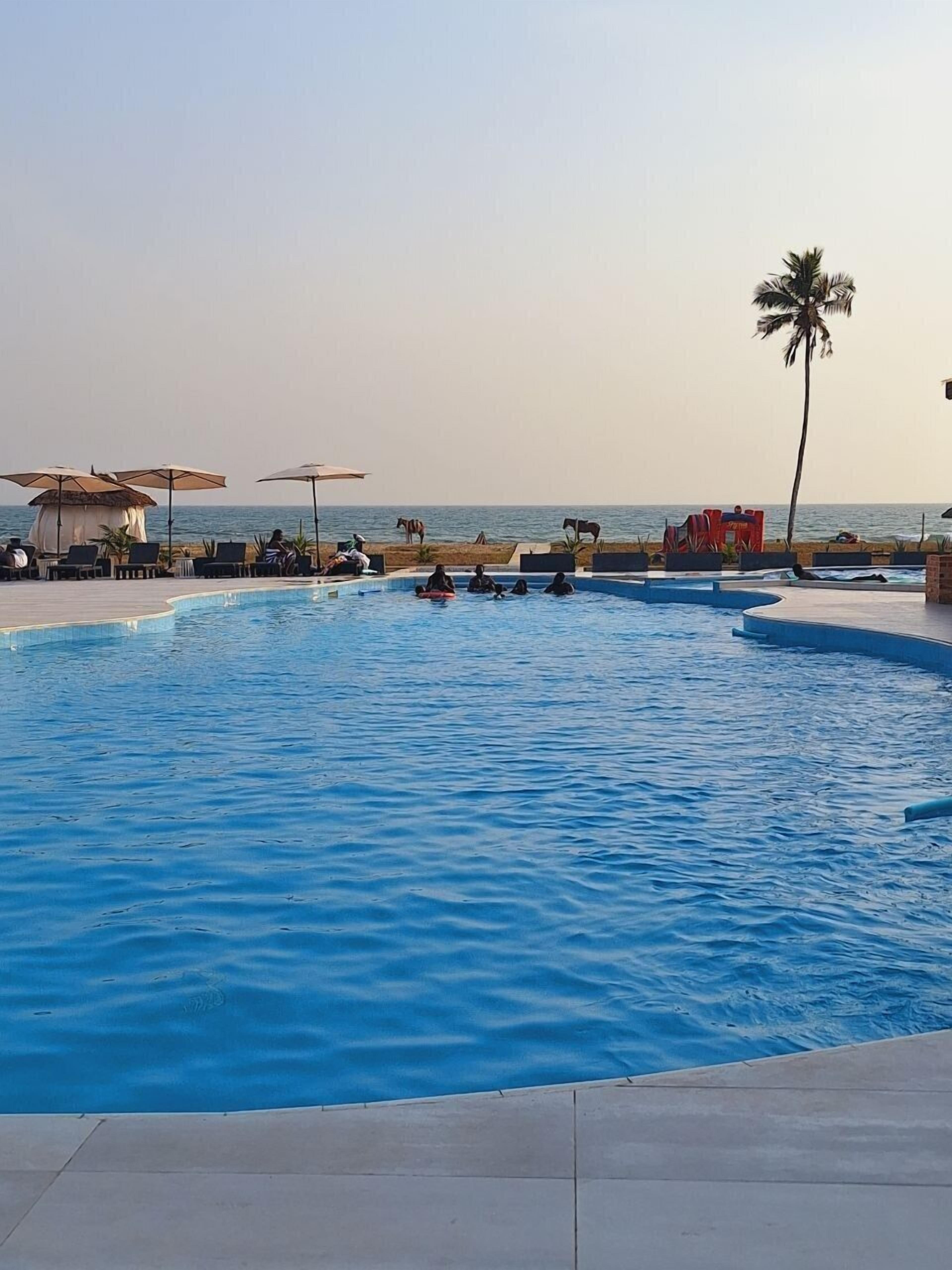 A swimming pool with lounge chairs and umbrellas, a palm tree, and a beach in the background.
