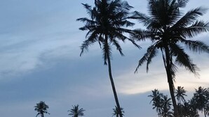 A beachfront property with palm trees, a sandy beach, and a building with a lit exterior. - Breezes  Beach Resort (Ekumfi Narkwa)