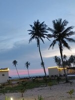 A beachfront property with palm trees, a sandy beach, and a building with a lit exterior.