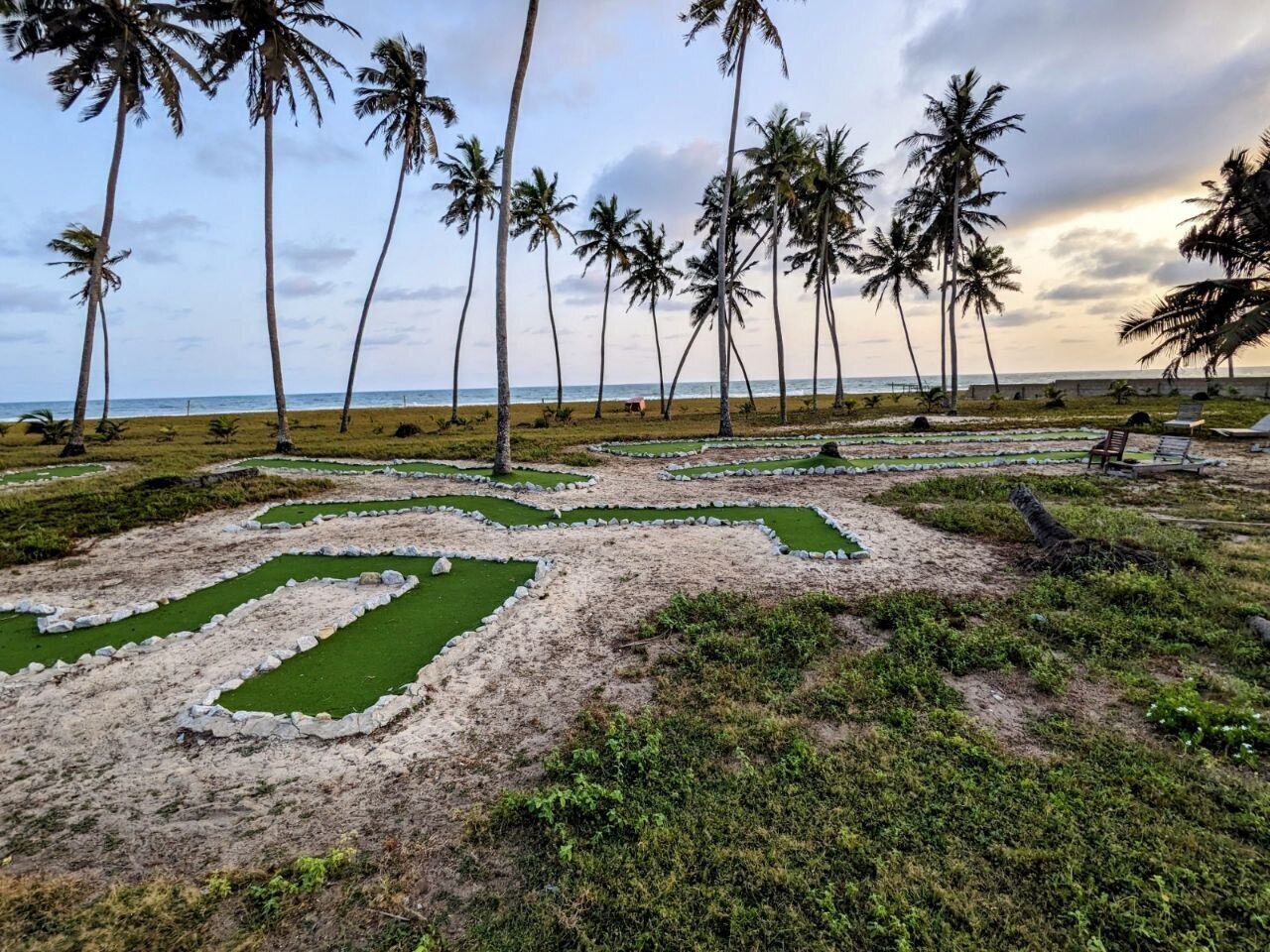 A beach with palm trees and a patterned ground design.