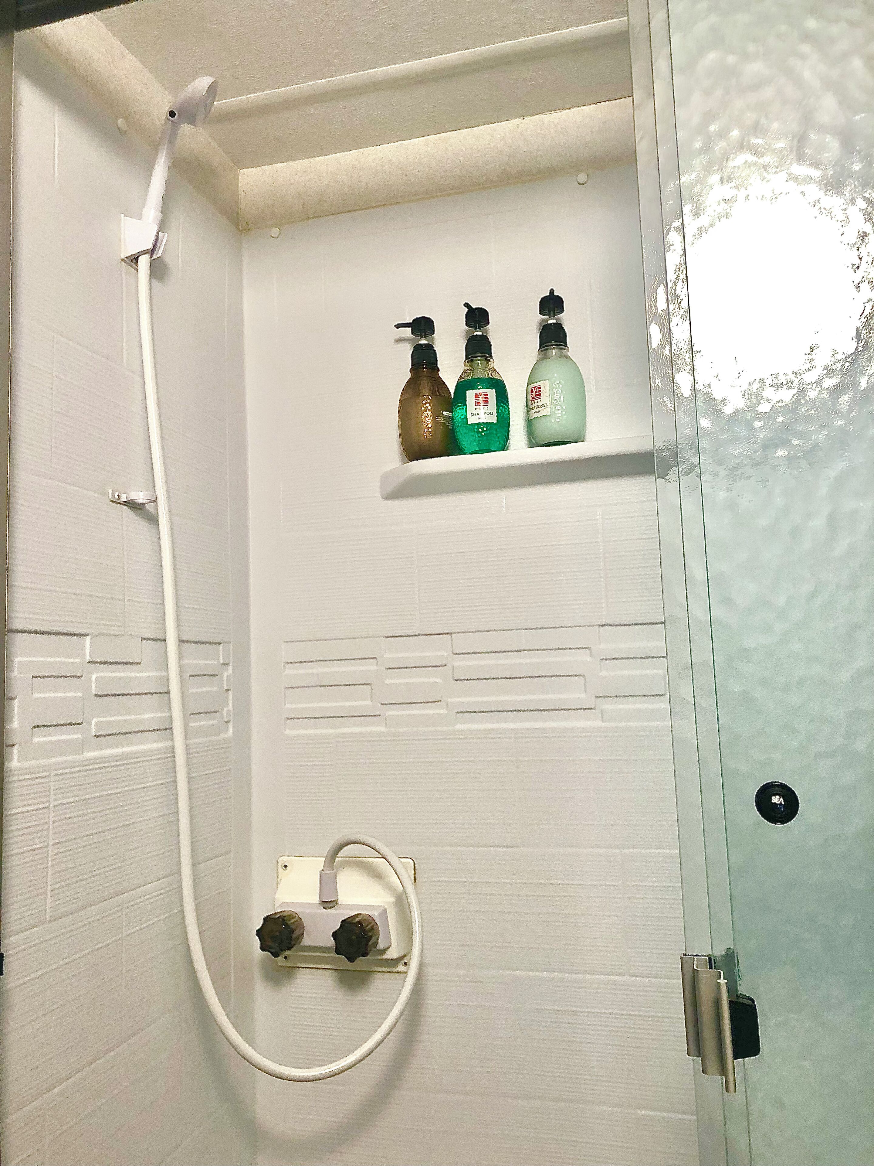 Shower, hair dryer, towels
