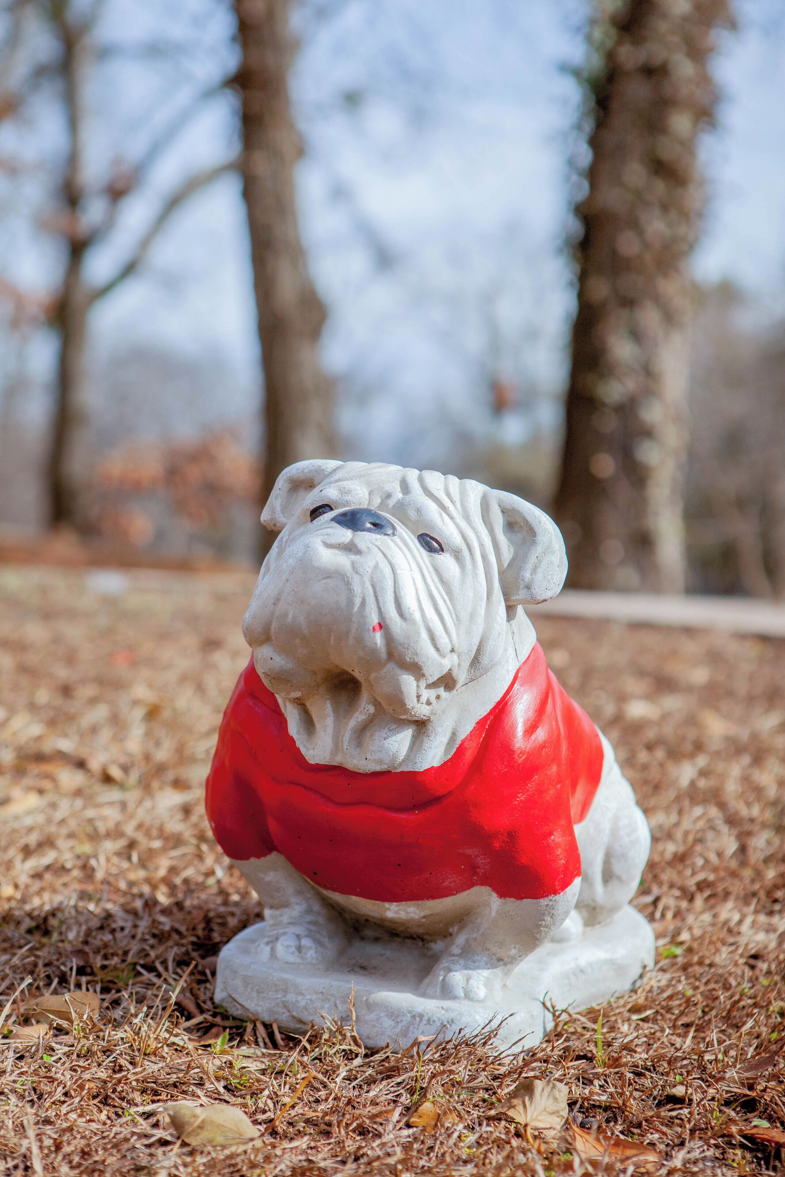 A statue of a bulldog with a red collar sitting on a grassy area.