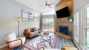 TV, fireplace, books