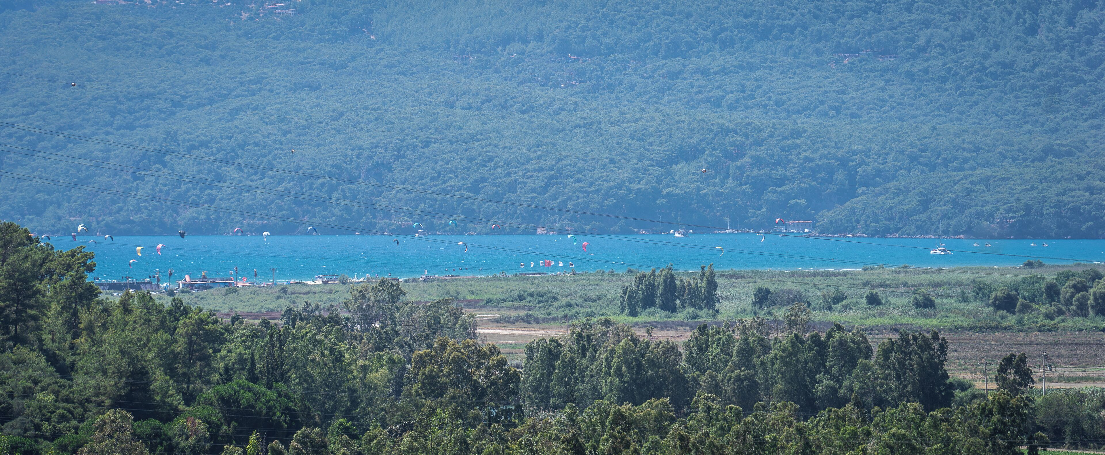 A coastal landscape with a view of the sea, a bridge, and dense forest.