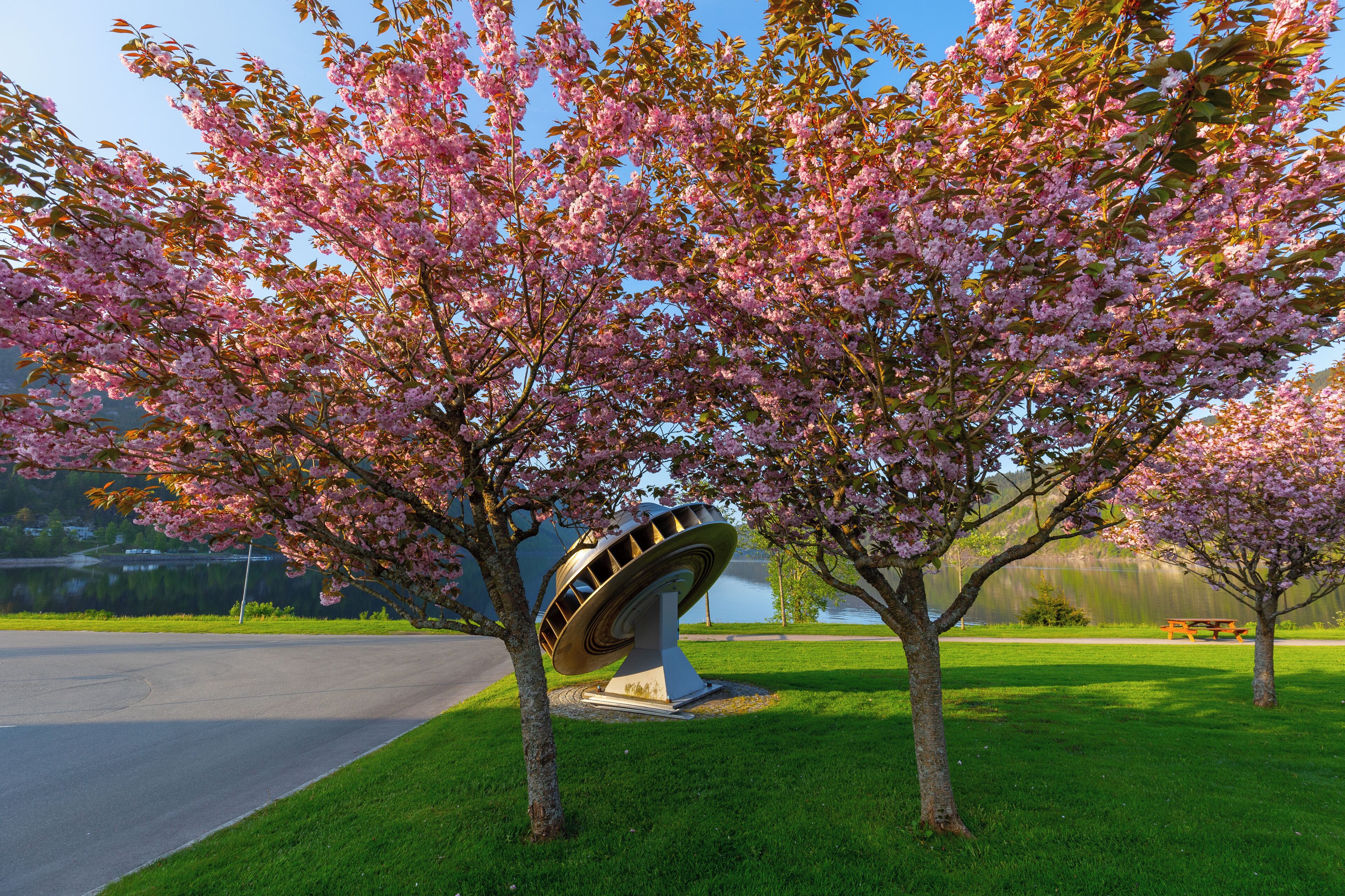 A park with cherry blossom trees, a sculpture, and a picnic table.