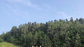 Un grup de persones en caiacs a un llac tranquil, envoltat per un bosc dens.