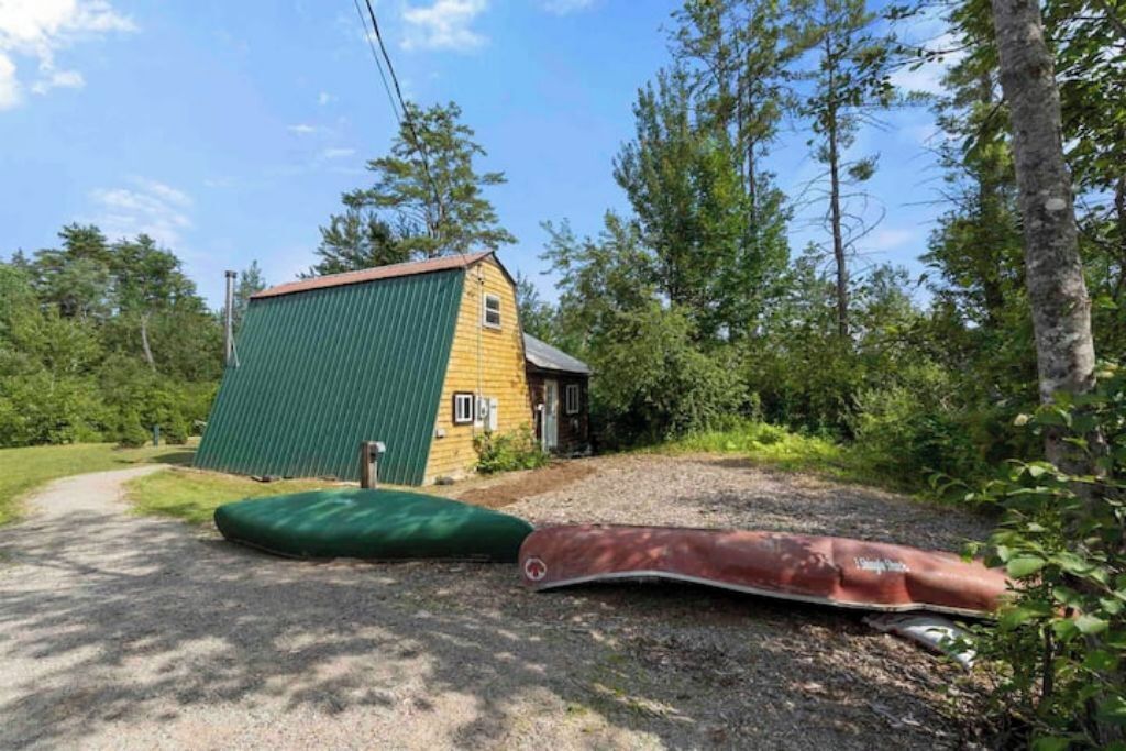 A rustic cabin with a green metal exterior and a yellow wooden facade, surrounded by dense forest.