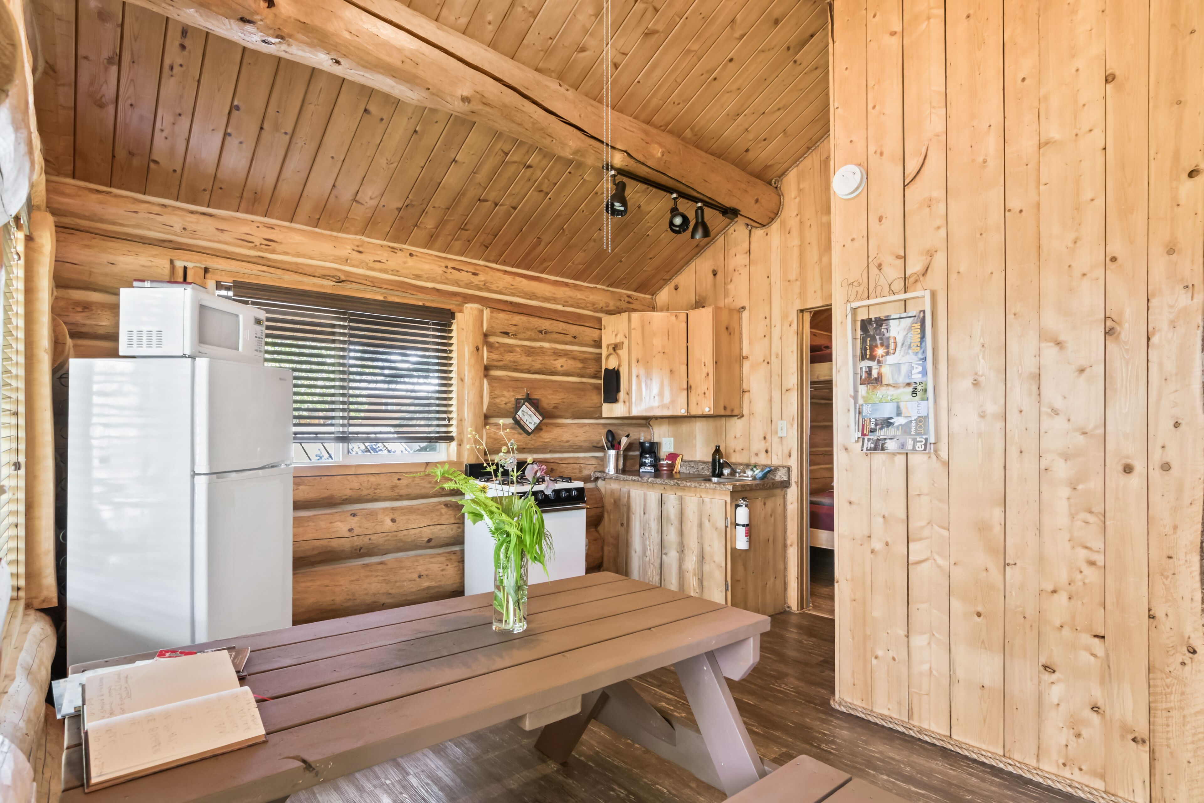Coho Salmon | Kenai Kuik Cabins | River access, fishing dock & private deck
