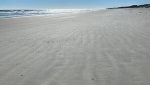 Ein Strand mit blauem Himmel und ruhiger See.