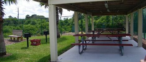 A covered picnic area with benches and a table, surrounded by greenery and a palm tree.
