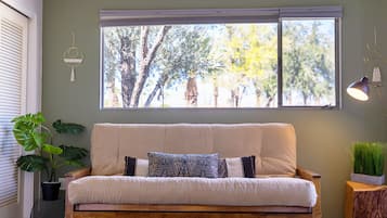 TV, fireplace, books