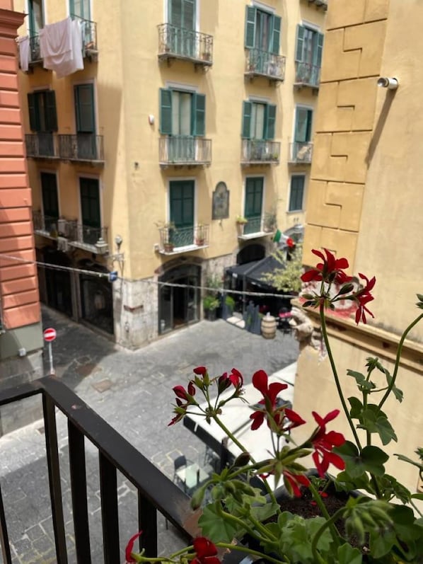 Overnatningsstedets område