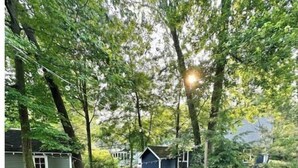 Eine gepflasterte Terrasse mit Sitzgelegenheit und einer kleinen Gartenhütte in einem bewaldeten Garten.