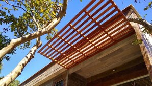 A modern building with a wooden pergola structure, large windows, and a tree in the foreground. - Farmless Home (Tiradentes)