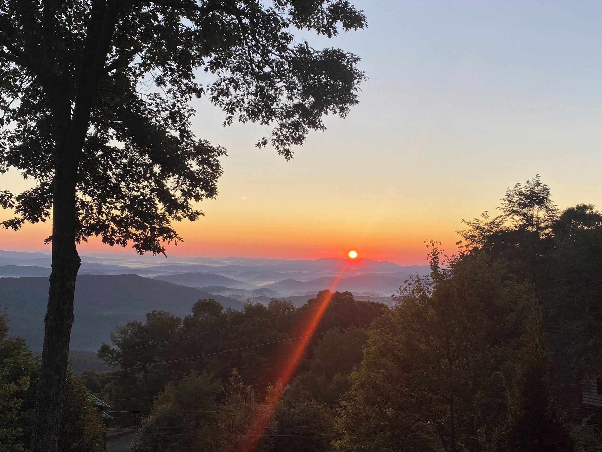 Une vue au coucher du soleil, avec un arbre au premier plan et une chaîne de montagnes en arrière-plan.