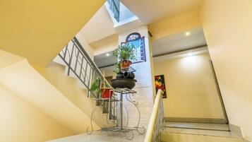 A staircase with a metal railing, a potted plant, and a wall-mounted shelf with additional potted plants.