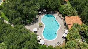 Une vue aérienne d’une piscine entourée d’une végétation luxuriante, avec des chaises longues et des parasols.