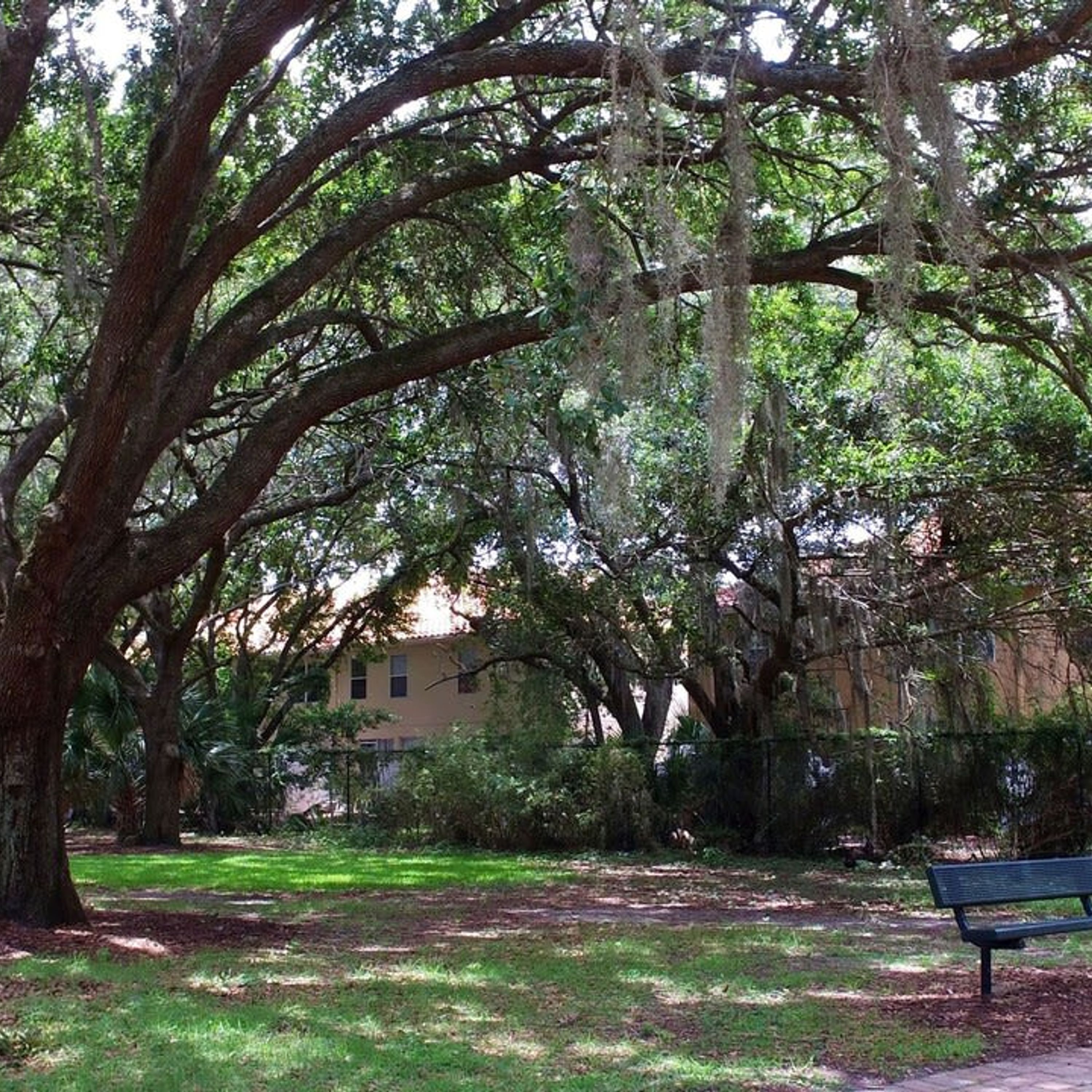 A park with a bench, trees, and a building in the background.