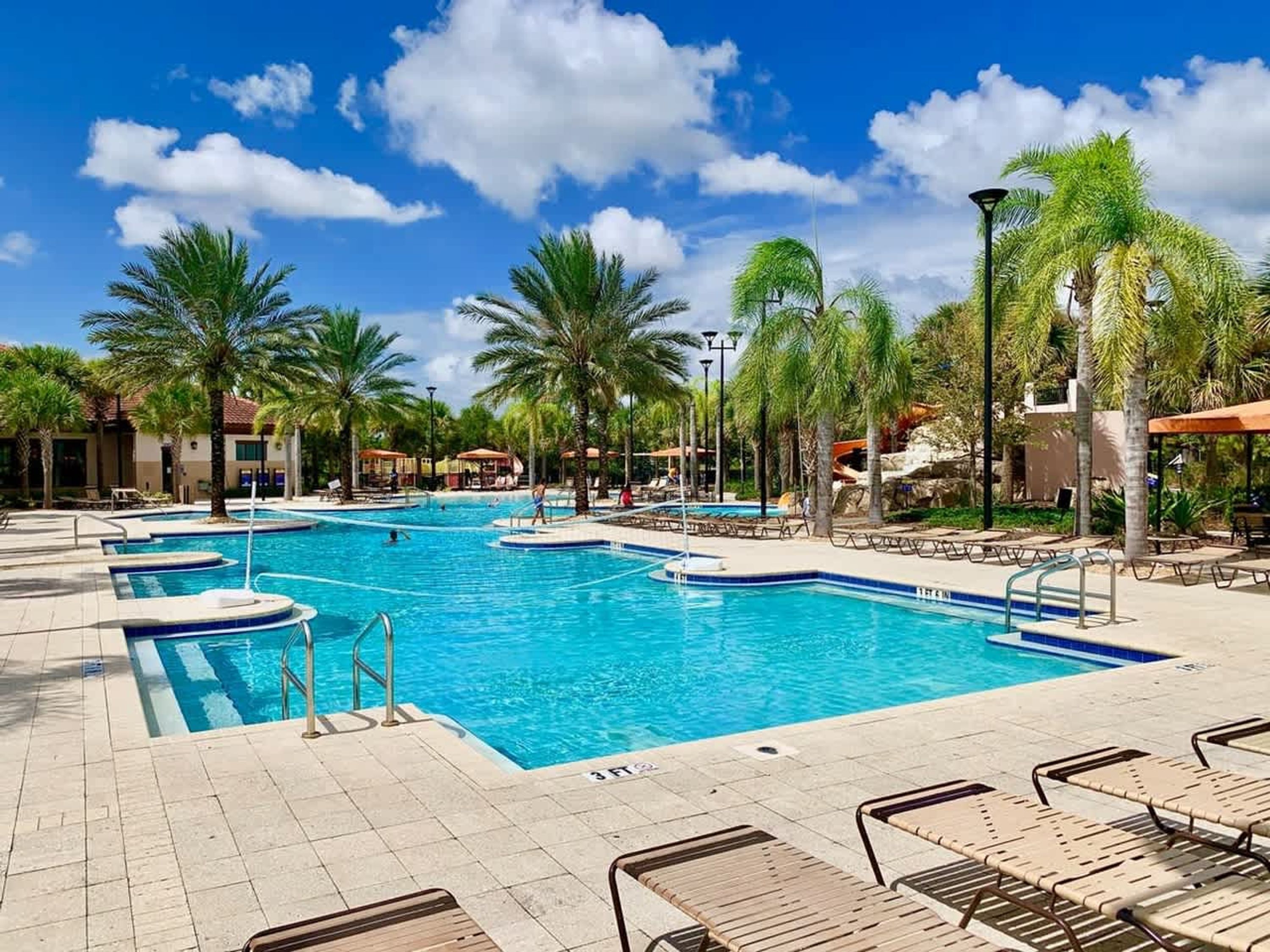 A swimming pool with multiple lanes, surrounded by palm trees and lounge chairs.