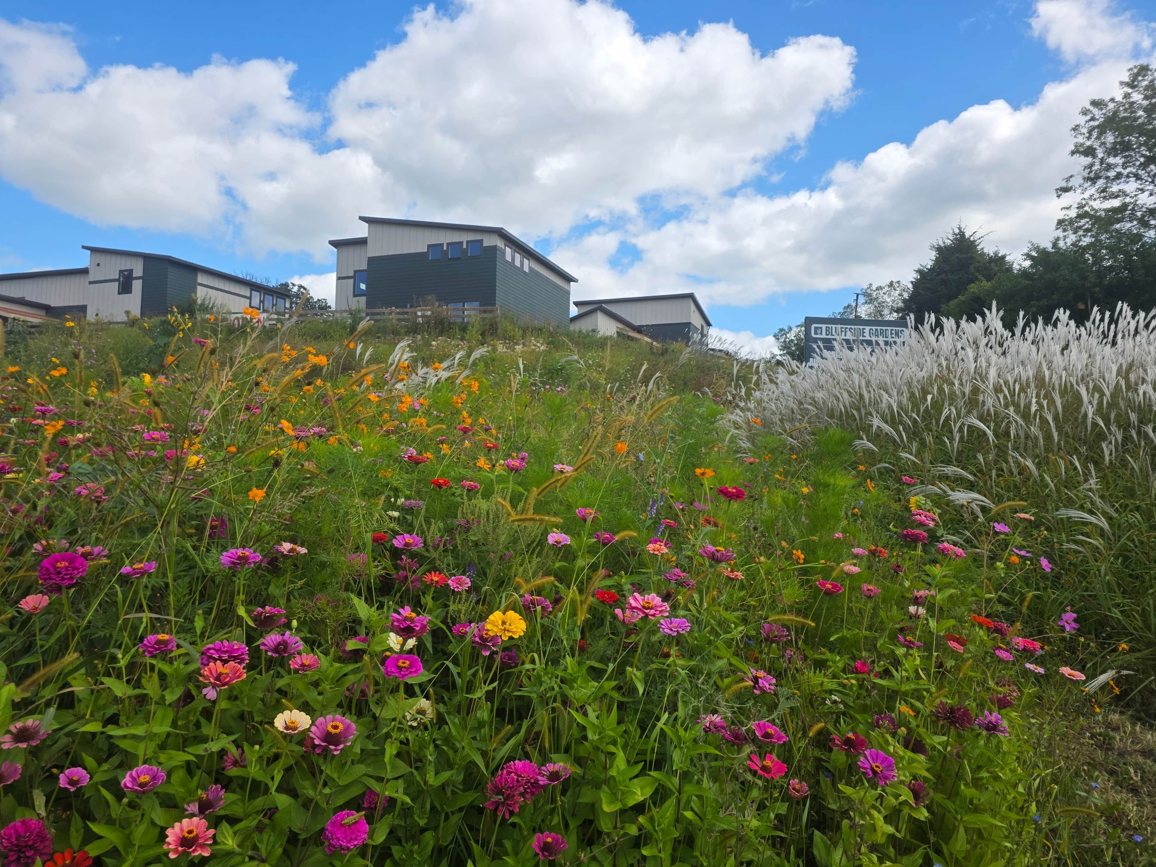 Overnatningsstedets område