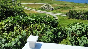 A rural landscape with a road leading to the sea, surrounded by greenery and a clear sky. - *NEW* Home On The Hill "Taigh na Bienne" (Johnstown)